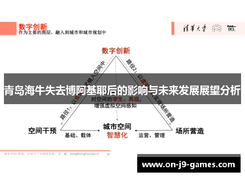 青岛海牛失去博阿基耶后的影响与未来发展展望分析