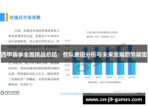 西甲赛季全面挑战总结：各队表现分析与未来发展趋势展望